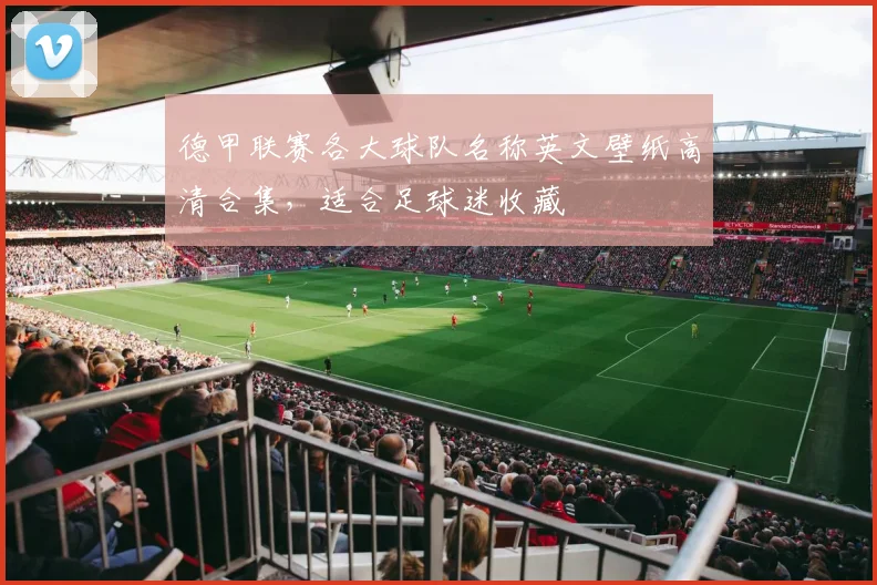 德甲联赛各大球队名称英文壁纸高清合集，适合足球迷收藏