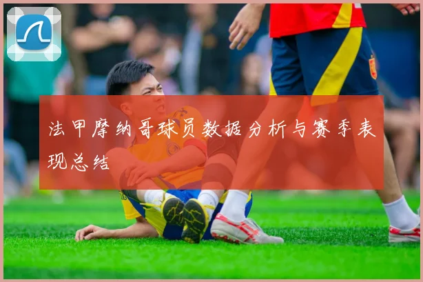 法甲摩纳哥球员数据分析与赛季表现总结
